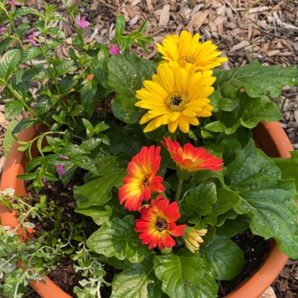 Meet your Posher, Lynn